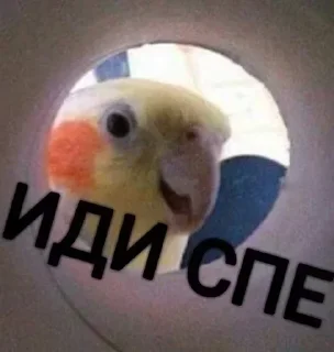 😴 emoji Бананчик Telegram sticker 16 of 39