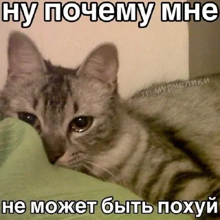 🌟 emoji этопиздец Telegram sticker 21 of 120