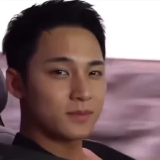 😌 emoji Mingyu Telegram sticker 20 of 47