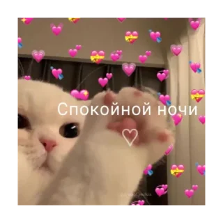 Sticker from мимими @stickersforyourlife