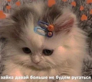 😔 emoji Cats Telegram sticker 21 of 35