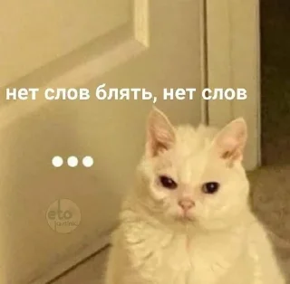 🌟 emoji Ким Кардашьян Telegram sticker 19 of 32