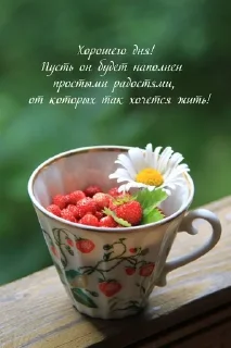 🤩 emoji Позитивные картинки 🤩 Telegram sticker 5 of 37