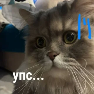 😅 emoji сэм&черныш Telegram sticker 3 of 9
