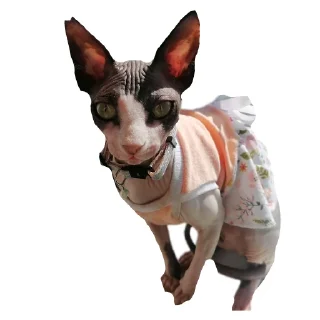 🐶 emoji Всякая хуйня Telegram sticker 21 of 21