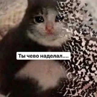 🤔 emoji Любимые стикеры Кейка Telegram sticker 14 of 29