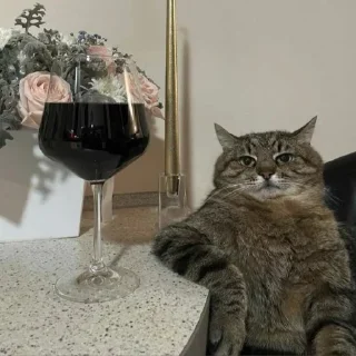 🥂 emoji Любимые стикеры Кейка Telegram sticker 16 of 29
