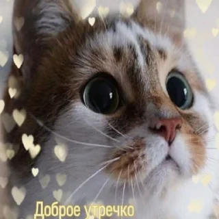 ☺️ emoji Любимые стикеры @Zlak_33 Telegram sticker 18 of 26