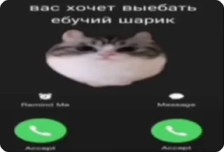 🌟 emoji Дайте мне хуем по морде Telegram sticker 22 of 25