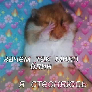 🥰 emoji StickyMemy Telegram sticker 18 of 70