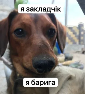 😢 emoji побацим коли Telegram sticker 20 of 72