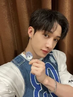 🌟 emoji 🐺 Bang Chan 🐺 Telegram sticker 6 of 32