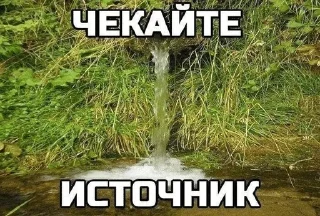 🌟 emoji Шизомемы @fStikBot Telegram sticker 24 of 75