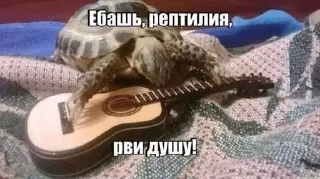 🌟 emoji Шизомемы @fStikBot Telegram sticker 7 of 75