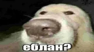 😒 emoji кокащке Telegram sticker 17 of 66