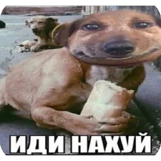🫥 emoji тгк:gryaz19 Telegram sticker 15 of 50