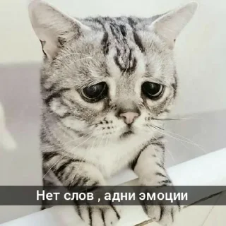 😓 emoji фрази @lisa_lalisa_army Telegram sticker 18 of 120