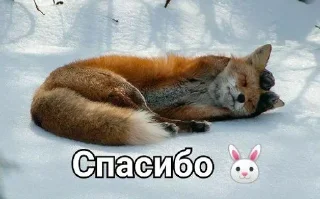 😊 emoji Лиса Telegram sticker 18 of 68