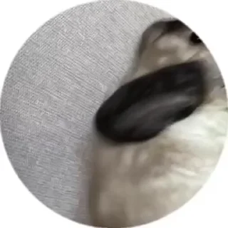 🙂 emoji Tosha😝 Telegram sticker 23 of 49