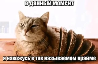 Sticker from Мята