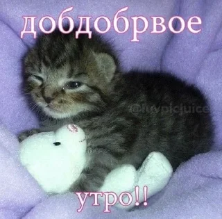 ☀️ emoji Даааашик Telegram sticker 11 of 106