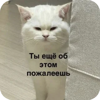 🐱 emoji река:: @LoonyStik Telegram sticker 24 of 48