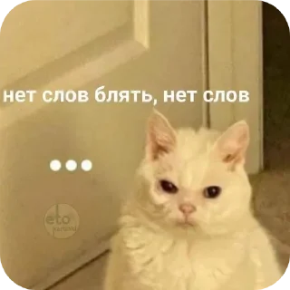 🐱 emoji река:: @LoonyStik Telegram sticker 18 of 48
