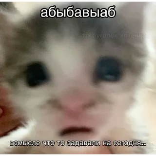 ☹️ emoji Ну и конечно котикиииии @matvey357daf Telegram sticker 6 of 104