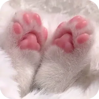🤲 emoji Миядзаки кото-лапки 1 Telegram sticker 7 of 110