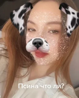 🐶 emoji как бы да Telegram sticker 12 of 21