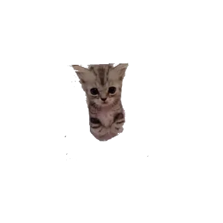 Sticker from Сонечка