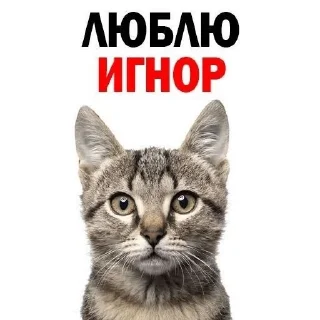 💢 emoji вахуи Telegram sticker 8 of 18