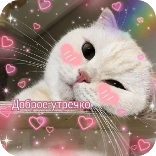 Sticker from С добрым утром