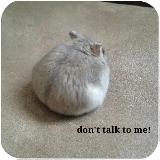 😡 emoji ⳅᴀʙᴇⲇⲩ ӄσᴛᴀ 🧶 Telegram sticker 21 of 43