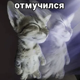 🌟 emoji Пийте, діти, квас Telegram sticker 11 of 57