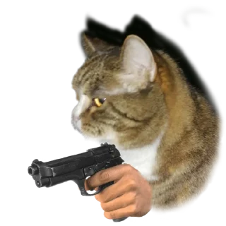 🔫 emoji Котики с пистолетами Telegram sticker 7 of 11