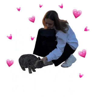 🐈‍⬛ emoji дашок Telegram sticker 15 of 49
