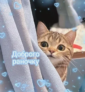 👋 emoji НужныеСтики Telegram sticker 10 of 120