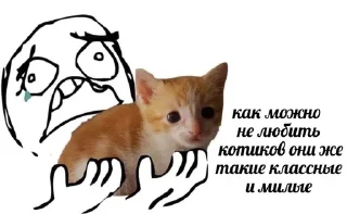 🥹 emoji котеки Telegram sticker 11 of 73