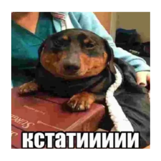 Sticker from какой же он имбучий