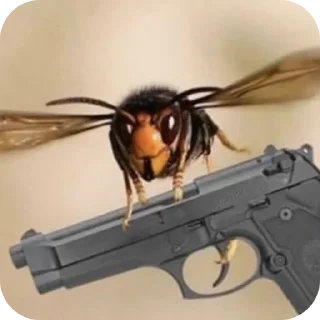 🐞 emoji Шершикс плюс Telegram sticker 7 of 36