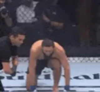 Sticker from ufc_chill