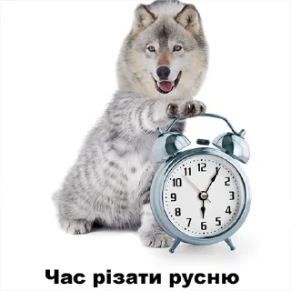 😺 emoji Сильний не той хто москаль @memenace Telegram sticker 7 of 19
