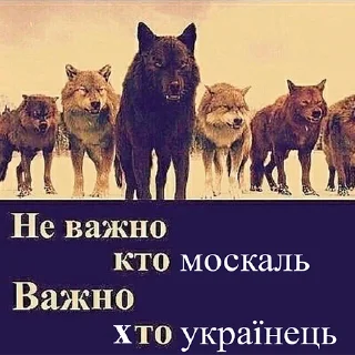😇 emoji Сильний не той хто москаль @memenace Telegram sticker 11 of 19
