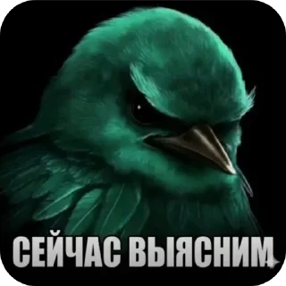 🐦 emoji Птичка вряд ли Telegram sticker 19 of 91