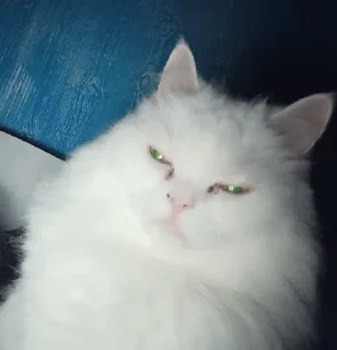 😑 emoji Розик Telegram sticker 4 of 76