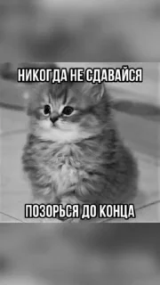 Sticker from Смешнявки