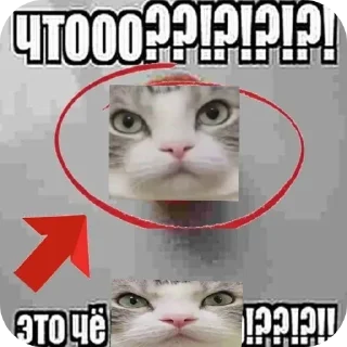 😳 emoji Хабенский, качан и другие Telegram sticker 13 of 120