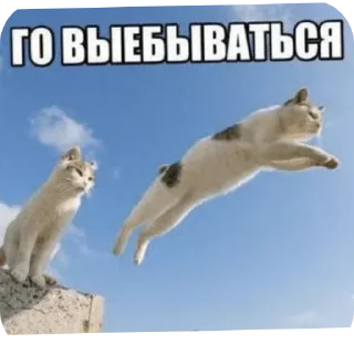 Sticker from От мишани :: @mihaaaak