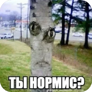 🫥 emoji от алиши 2 Telegram sticker 9 of 31